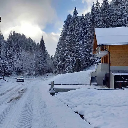 Apartament Hisa Lunna - In A Forest Paradise Vitanje