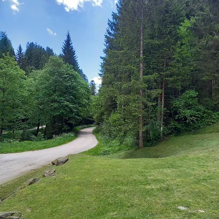 Apartman Hisa Lunna - In A Forest Paradise *